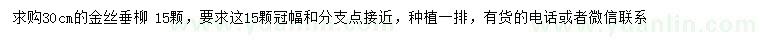 求購30公分金絲垂柳