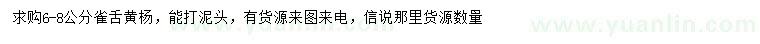 求購6-8公分雀舌黃楊