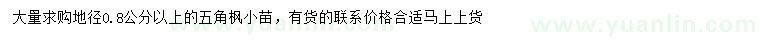 求購地徑0.8公分以上五角楓
