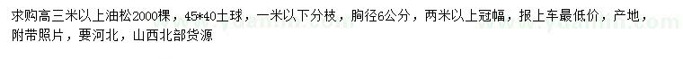 求購高3米以上油松