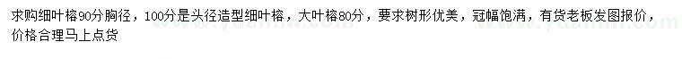 求購胸徑90公分細(xì)葉榕、80公分大葉榕