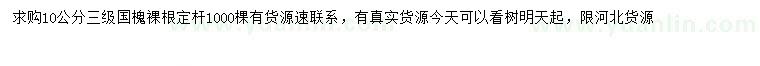 求購10公分國槐
