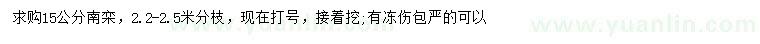 求購15公分南欒