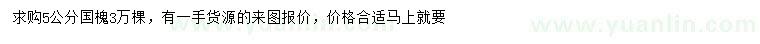 求購(gòu)5公分國(guó)槐