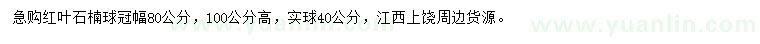 求購冠幅80公分紅葉石楠球