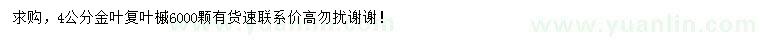 求購(gòu)4公分金葉復(fù)葉槭