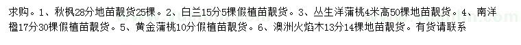 求購秋楓、白蘭、叢生洋蒲桃等