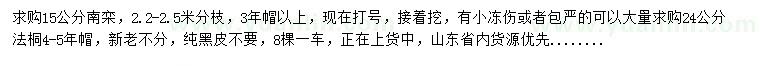 求購(gòu)15公分南欒、24公分法桐