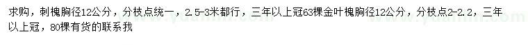 求購胸徑12公分刺槐、金葉槐
