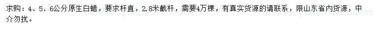 求購4、5、6公分原生白蠟