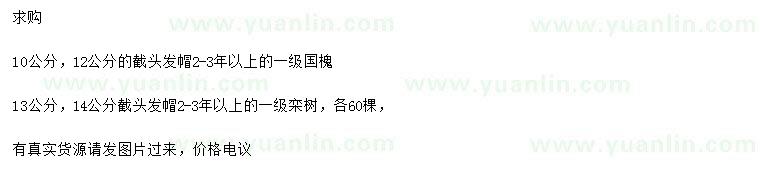 求購(gòu)10、12公分國(guó)槐、13、14公分欒樹(shù)