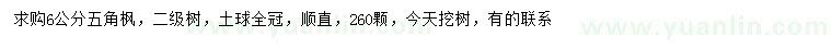求購6公分五角楓