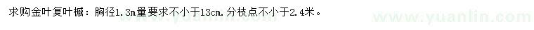 求購1.3米量13公分以上金葉復(fù)葉槭