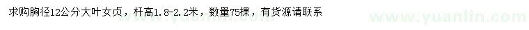 求購胸徑12公分大葉女貞