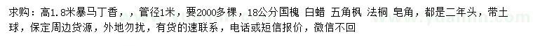 求購暴馬丁香、國槐、白蠟等