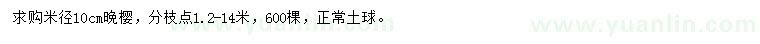 求購米徑10公分晚櫻