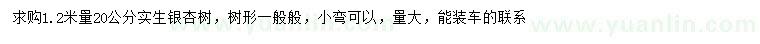 求購1.2米量20公分銀杏