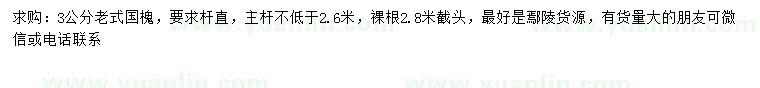 求購3公分老式國槐