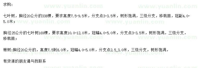 求購胸徑20、25公分七葉樹、胸徑20公分楸樹