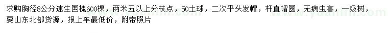 求購胸徑8公分速生國槐