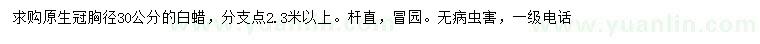 求購胸徑30公分白蠟