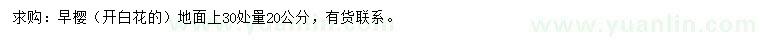 求購(gòu)30量20公分櫻花