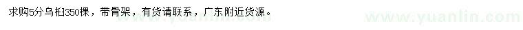 求購5公分烏桕