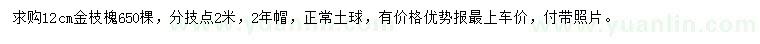 求購(gòu)12公分金枝槐