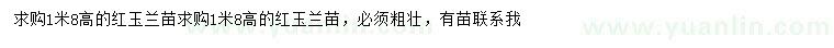 求購高1.8米紅玉蘭