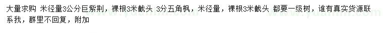 求購米徑3公分紫荊