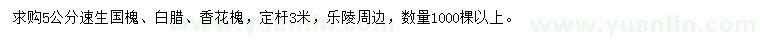 求購速生國槐、白臘、香花槐