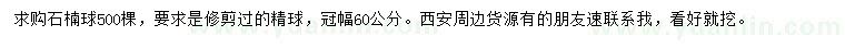 求購冠幅60公分石楠球