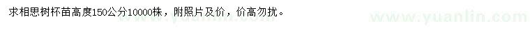 求購高150公分相思樹