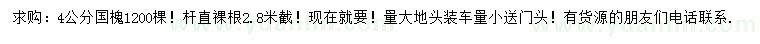 求購(gòu)4公分國(guó)槐