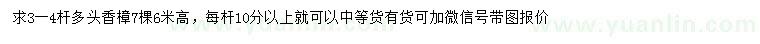 求購(gòu)高6米多頭香樟