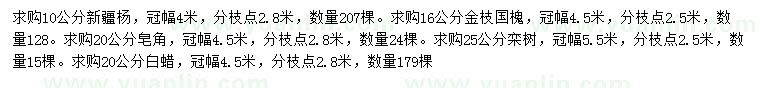 求購新疆楊、金枝國槐、欒樹等