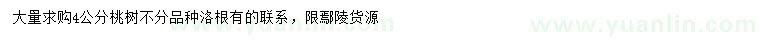 求購(gòu)4公分桃樹