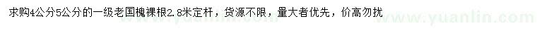 求購4、5公分老國槐