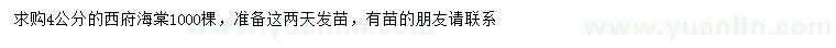求購4公分西府海棠