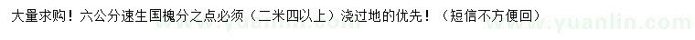 求購6公分速生國槐