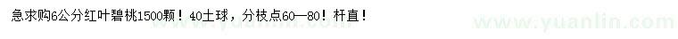 求購6公分紅葉碧桃