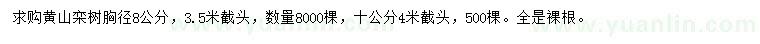 求購(gòu)胸徑8、10公分黃山欒