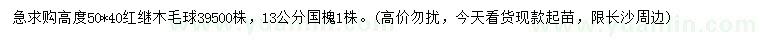 求購高50*40公分紅繼木毛球、13公分國槐
