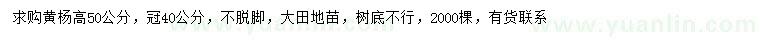 求購高50公分黃楊