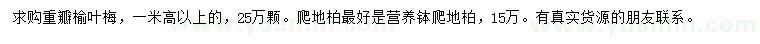 求購(gòu)高1米以上重瓣榆葉梅、爬地柏