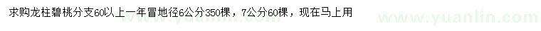 求購地徑6、7公分龍柱碧桃