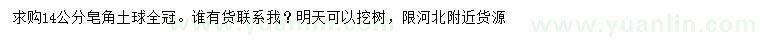 求購14公分皂角