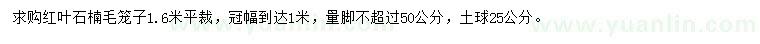 求購冠幅1米紅葉石楠毛籠子
