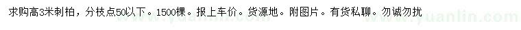 求購高3米刺柏