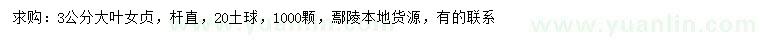 求購3公分大葉女貞